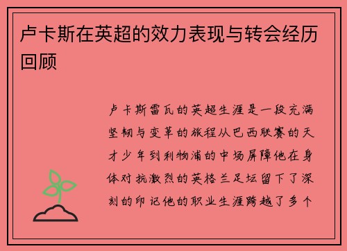 卢卡斯在英超的效力表现与转会经历回顾