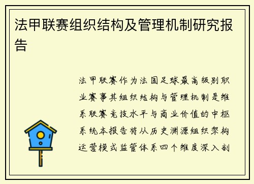 法甲联赛组织结构及管理机制研究报告